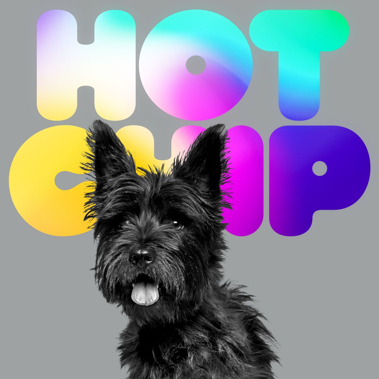 Album cover for Hot Chip's A Long Way From Kansas featuring a small black dog in front of colourful gradient lettering.
